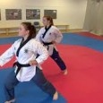 Sjlfsvarnanmskei/Self-defence workshop